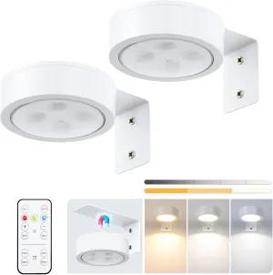 2-Pack Picture Light Battery Operated, LED Painting Lights with Remote, Dimmable and Timer Painting Light, Art Display Light for Picture Frame Artworking Portrait, Home Wall Decor wall lights, White