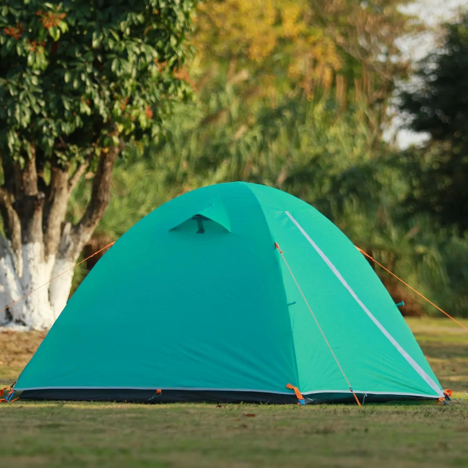 2/3 Person Camping Tent Backpacking Lightweight Tent Waterproof Windproof Aluminum Pole Two Doors Double Layer Easy Setup Portable for Outdoor Camping Hiking Beach Travel