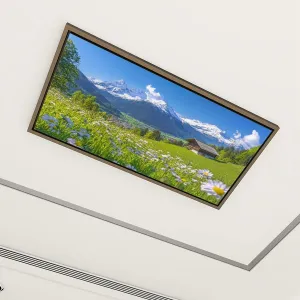 4 Pack Fluorescent Light Covers for Ceiling Lights Alpine Scenery Mountain Chalet Summer Decorative Magnetic Fluorescent Light Filters for Classroom Office Home 4x2 ft