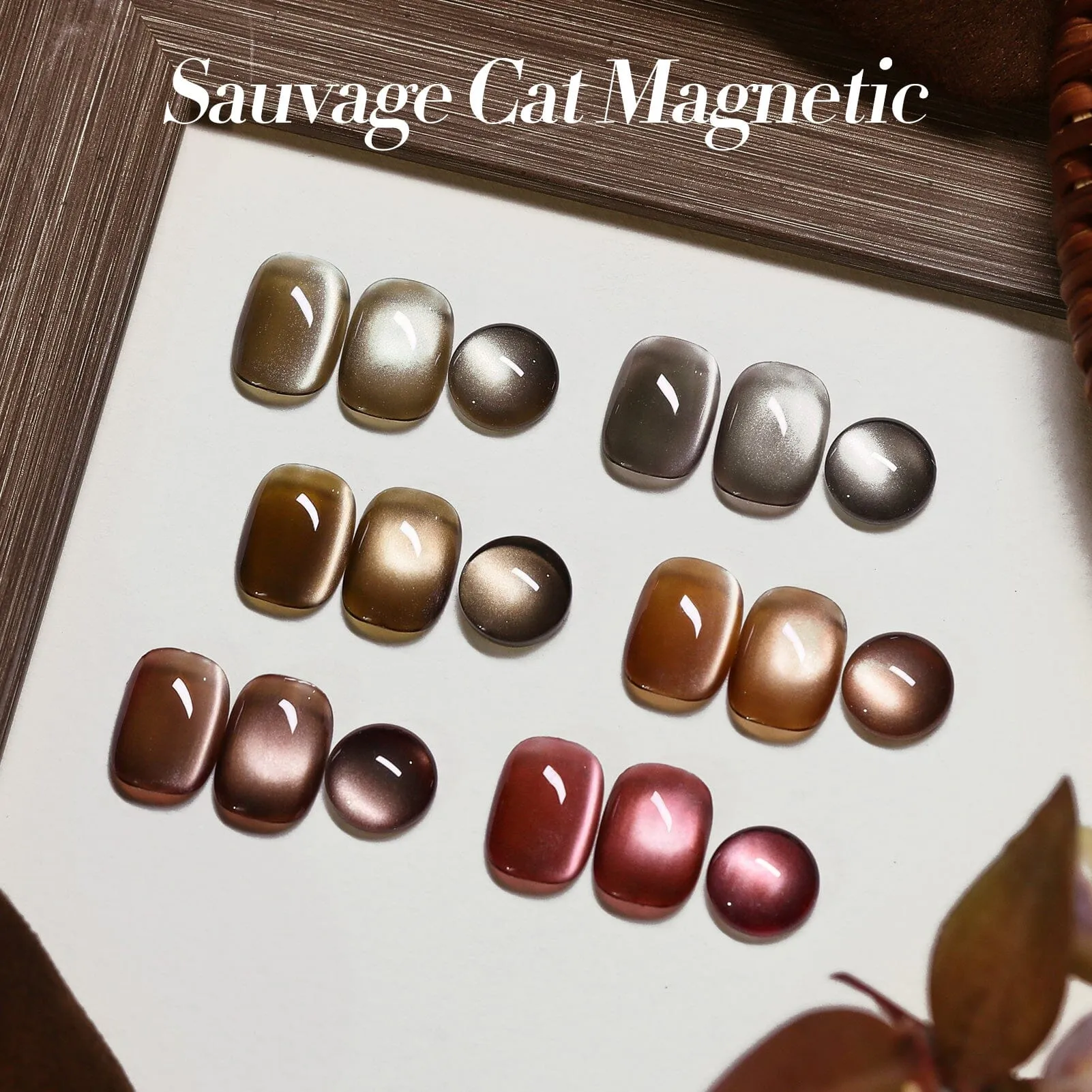 6 Colors Dark Glass Cat Magnetic Gel Polish Set M42 Sauvage 7ml