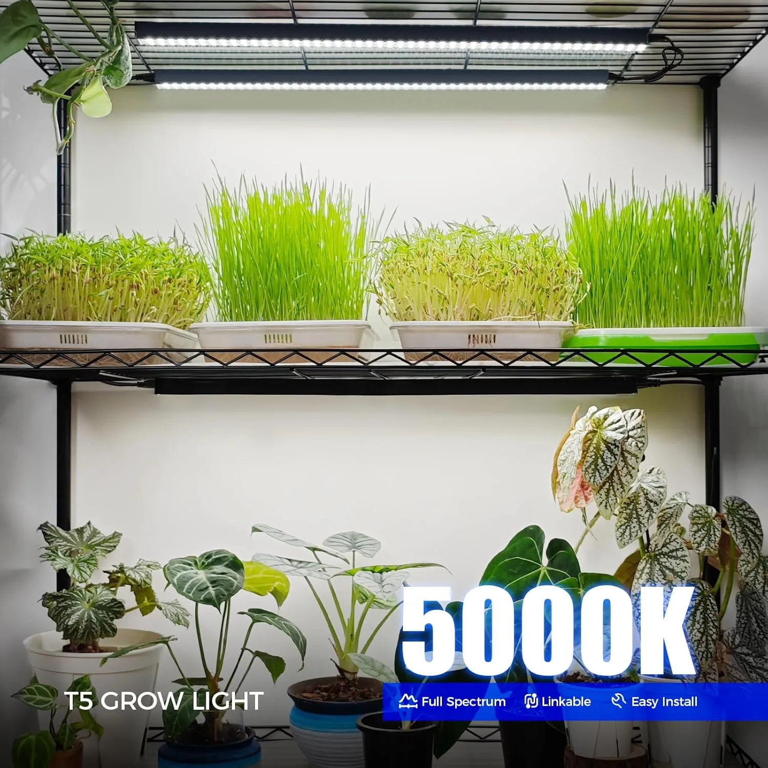 Barrina T5 Grow Lights for Indoor Plants, 2FT 5000K Full Spectrum LED Grow Light with Black Cover, T5 Grow Light Strip, Under Cabinet Plant Light with Switch Cord, Linkable, Plug and Play, 4 Packs