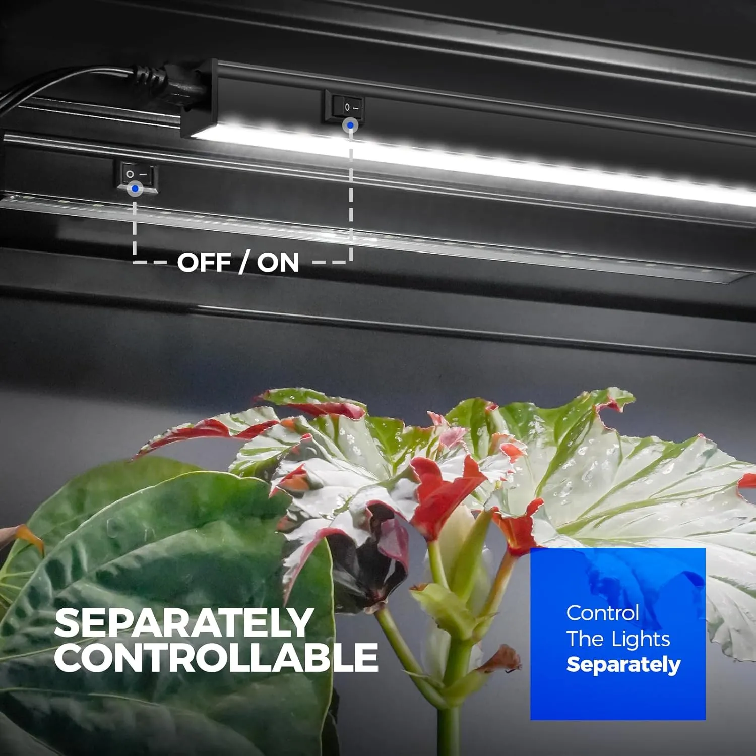 Barrina T5 Plant Lights for Indoor Growing, 1FT 10W (2 X 5W) Led Grow Light with Magnetic Design, Full Spectrum Grow Light Strip with Black Cover, Plug and Play, 5000K, 2 Packs