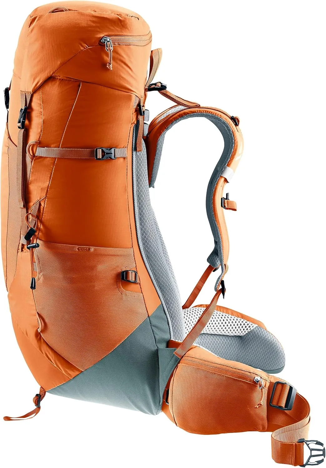 Deuter Men's Modern, Chestnut-Teal, 40 10 L