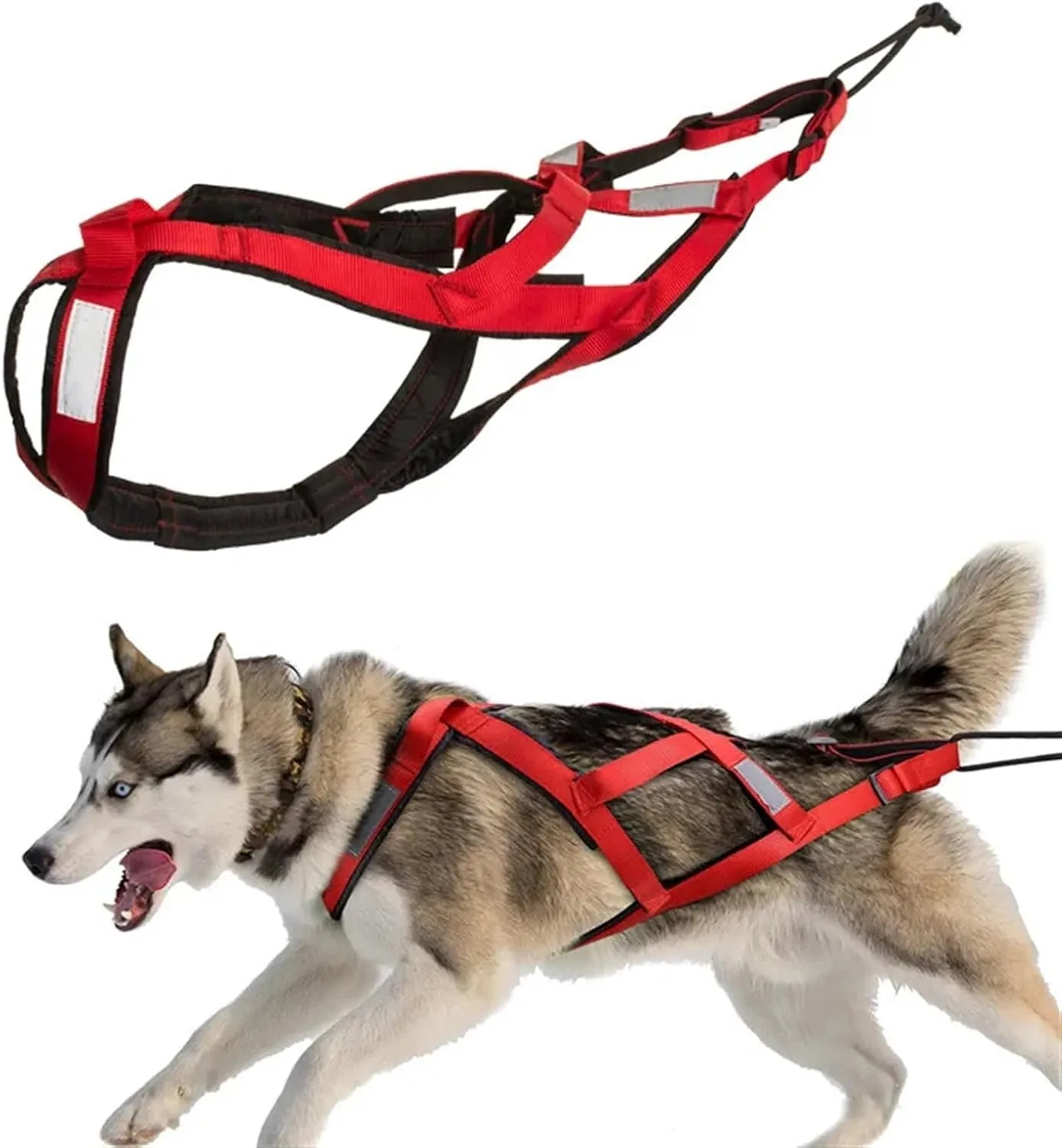 Dog Sledding Harness,Dog Harness Reflective Pet Sledding Skijoring Harness Waterproof Big Large Dogs Weight Pulling Vest for Pet Training(Red,M)