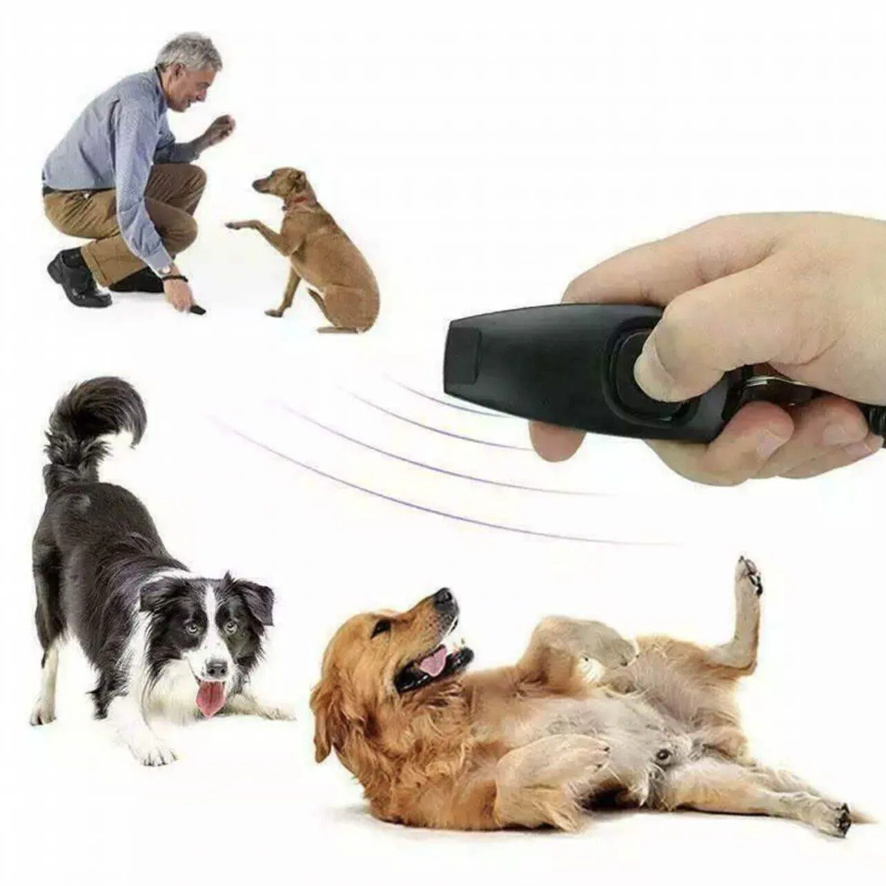 Dog Training Whistle 11 Colours