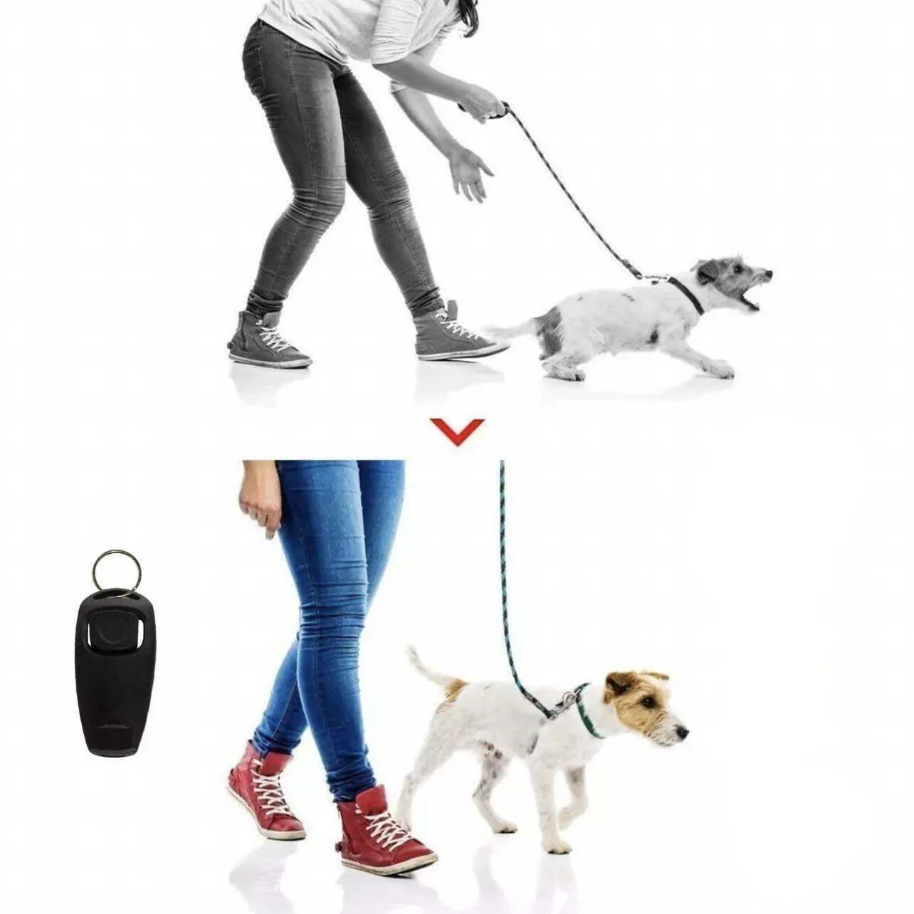 Dog Training Whistle 11 Colours