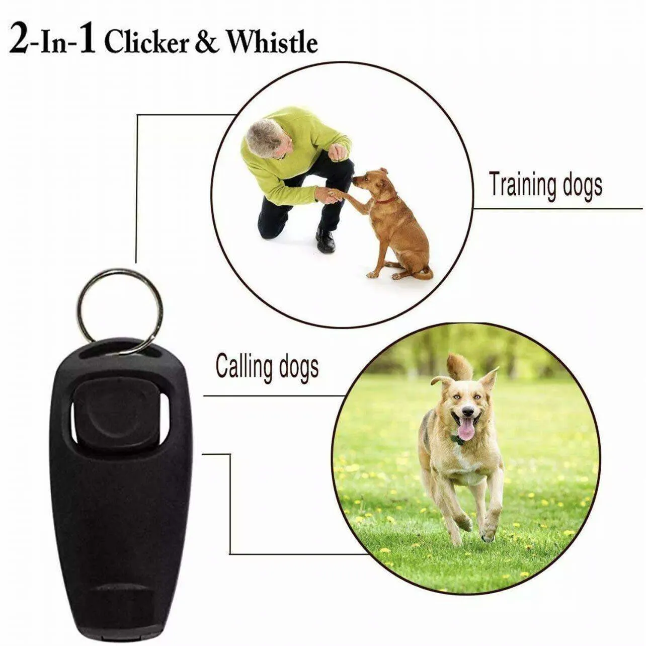Dog Training Whistle 11 Colours