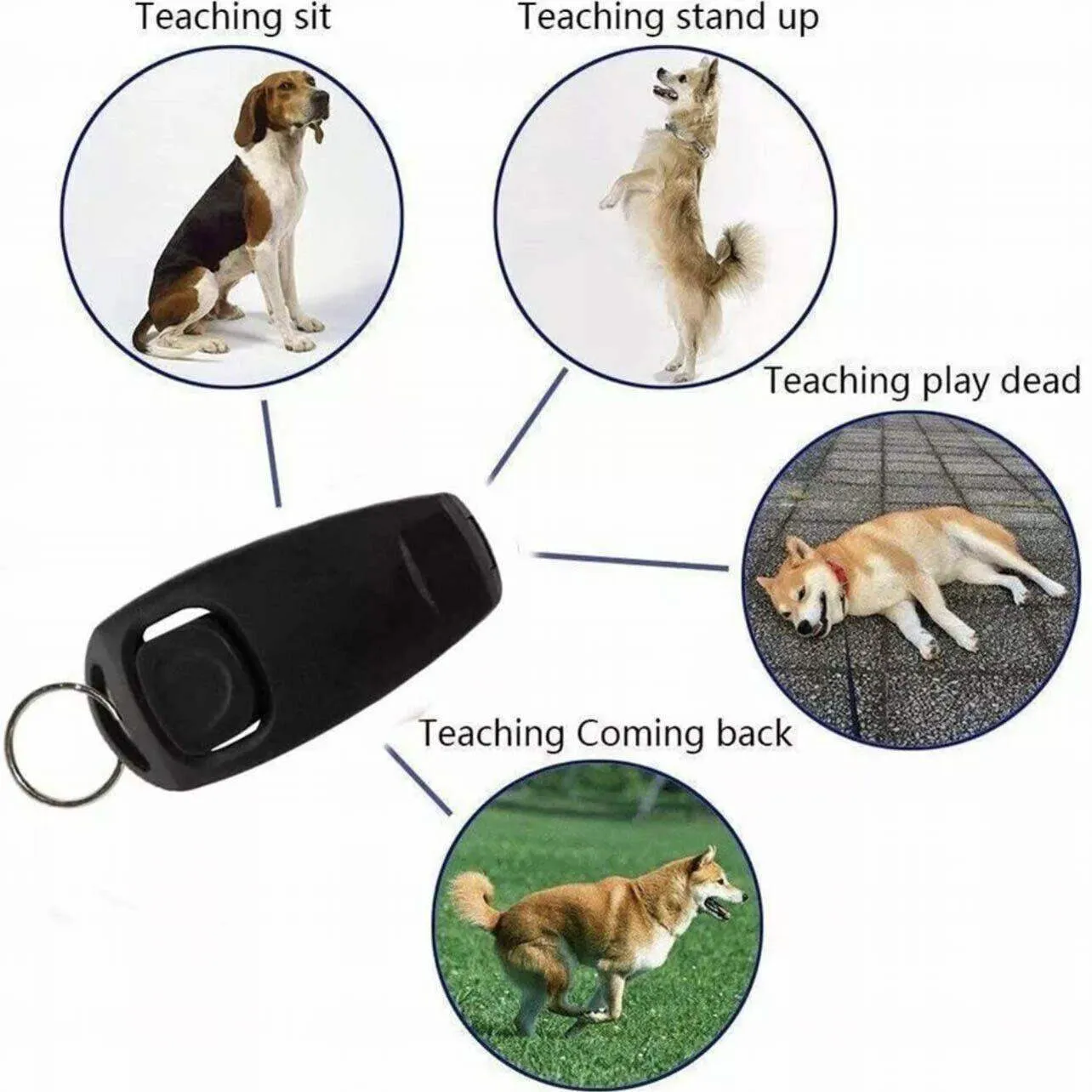 Dog Training Whistle 11 Colours