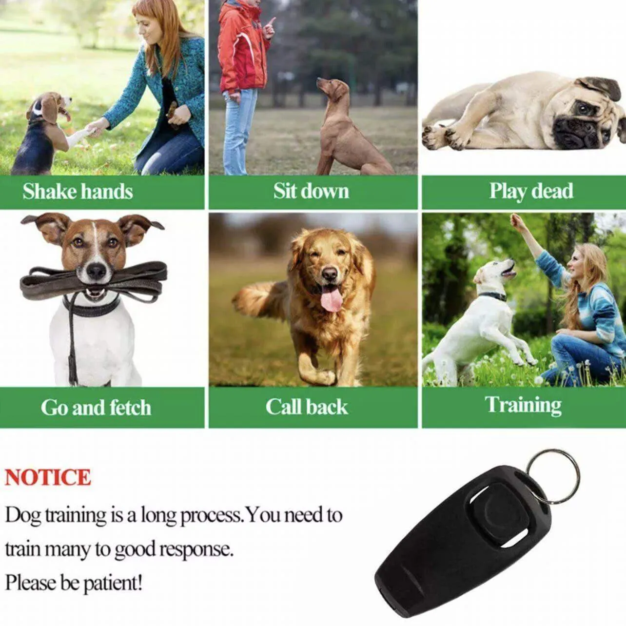 Dog Training Whistle 11 Colours