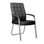 Embrace Visitors /conference Chair