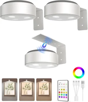 EZVALO Picture Lights for Wall, 2000mAh Rechargeable Battery Magnetic Poster Lights with 3 Color Temps & 12 RGB, Remote Dimmable Timer Painting Light, Wall Decor Light for Art Display, Frame (3 Pack)