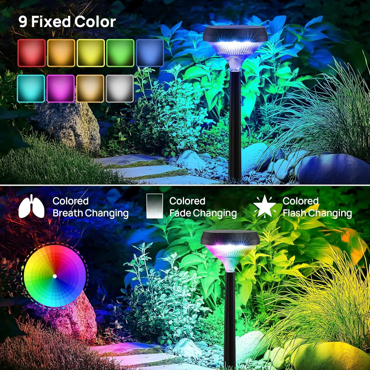 Linkind Solar Pathway Lights 8 Pack, Color Changing Path Lights Outdoor Waterproof, Multicolor Warm White Cool White Solar Lights for Walkway Pathway Yard Garden Landscape