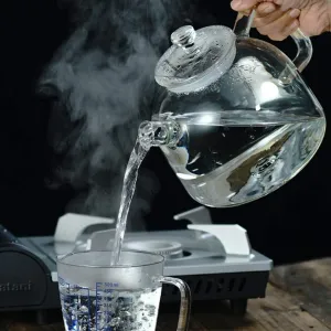 LIOONS Food Grade Tea Kettle Whistle Kettle Direct Fire Glass Kettle Heat-Resistant Large Capacity Teapot Creative Fashion Tea Kettles 1800ml, 60.8oz Tea Pot