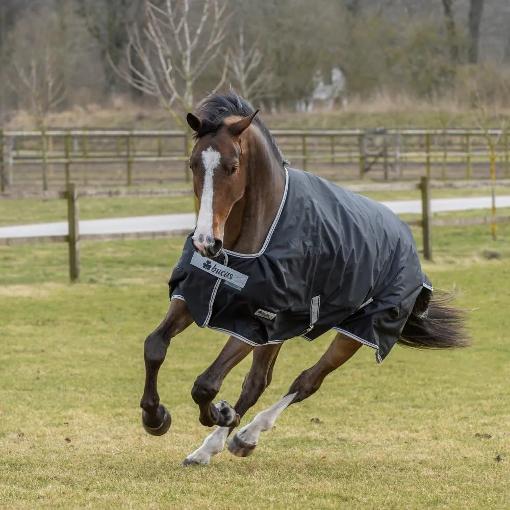 Outdoor Rug Anniversary Turnout Light Stay Dry