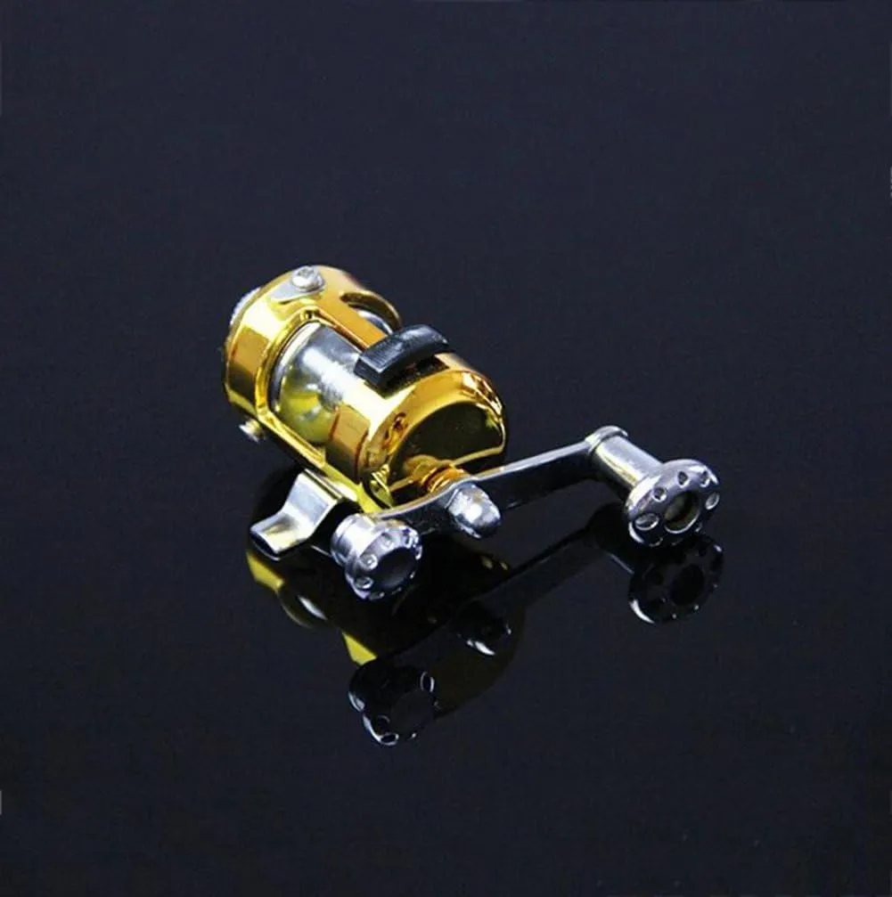 Pen Mini Fishing Rods 160cm,Portable Telescopic Pocket Aluminum Alloy Fishing Rod Pole with Reel