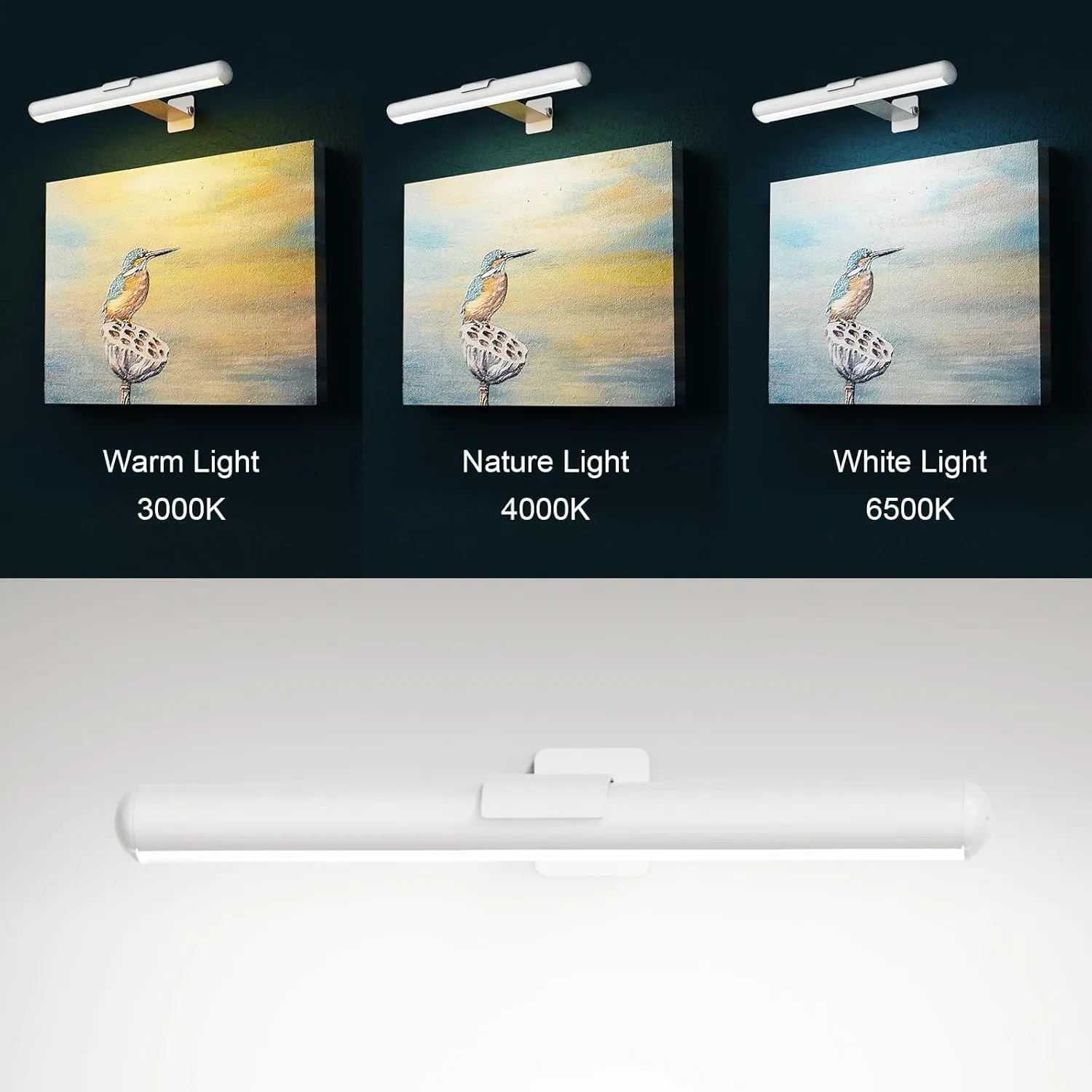 Picture Light, Rechargeable Wall Lights 4000m Ahbattery Powered Wall Light, suse forart Lighting for Paintings, Gallery Wall Light 300 lumens, Dimmable and Timer Off Art Display Light