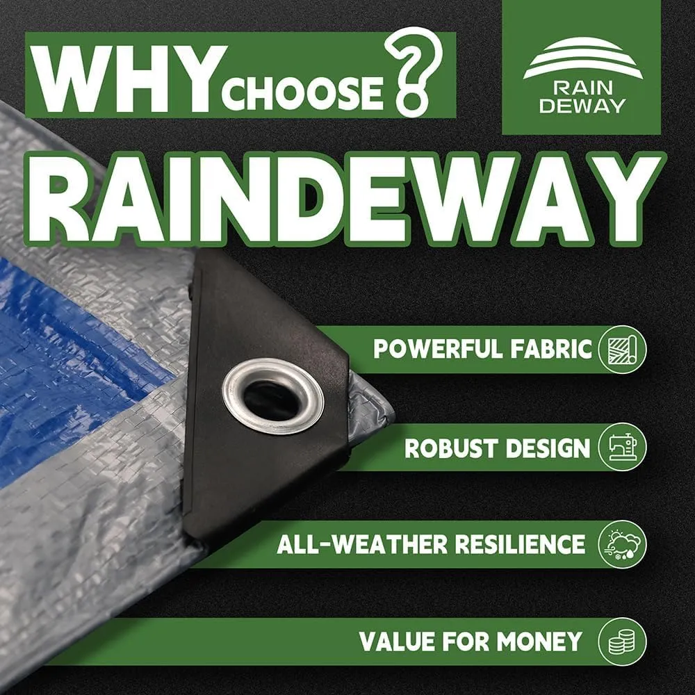 RAINDEWAY Large Tarps 30x60 Feet, 5.5 Mil - Multipurpose Waterproof Poly Tarp Cover with Metal Grommets and Reinforced Edges, Silver/Blue