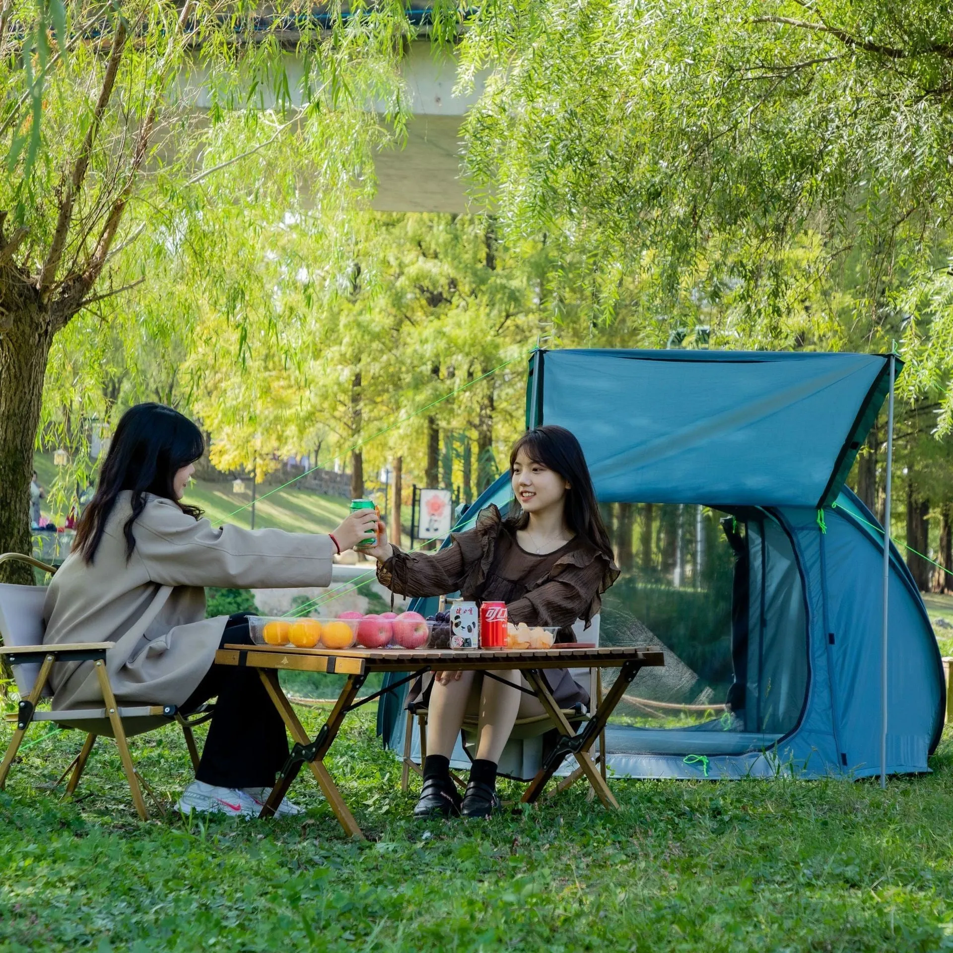 Single Layer Speed Open Tent Camping