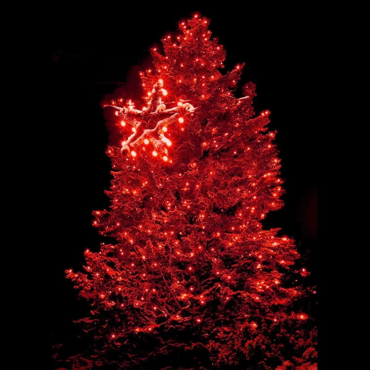 Solar Christmas Light String, 52m 500 LED Outdoor Light String 8 Modes Waterproof Solar String Lights for Trees Patio Fence Party Christmas Decor (Red)