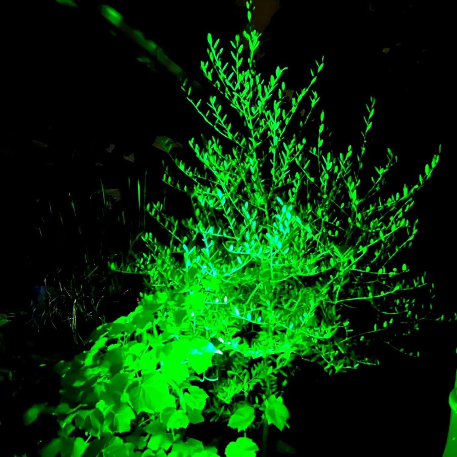T-SUNUS Green Solar Landscape Lights Christmas 4 Pack, IP65 Waterproof Halloween Garden Pond Light, Auto-on/Off Security Spotlight for St. Patrick's Day Flag Tree Wall Patio Yard Driveway Pool Area