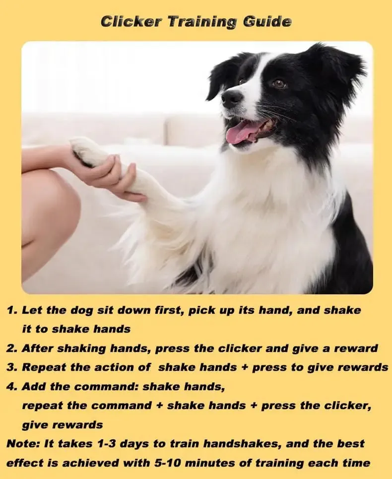 Ultrasonic Dog Whistle for Training and Bark Control