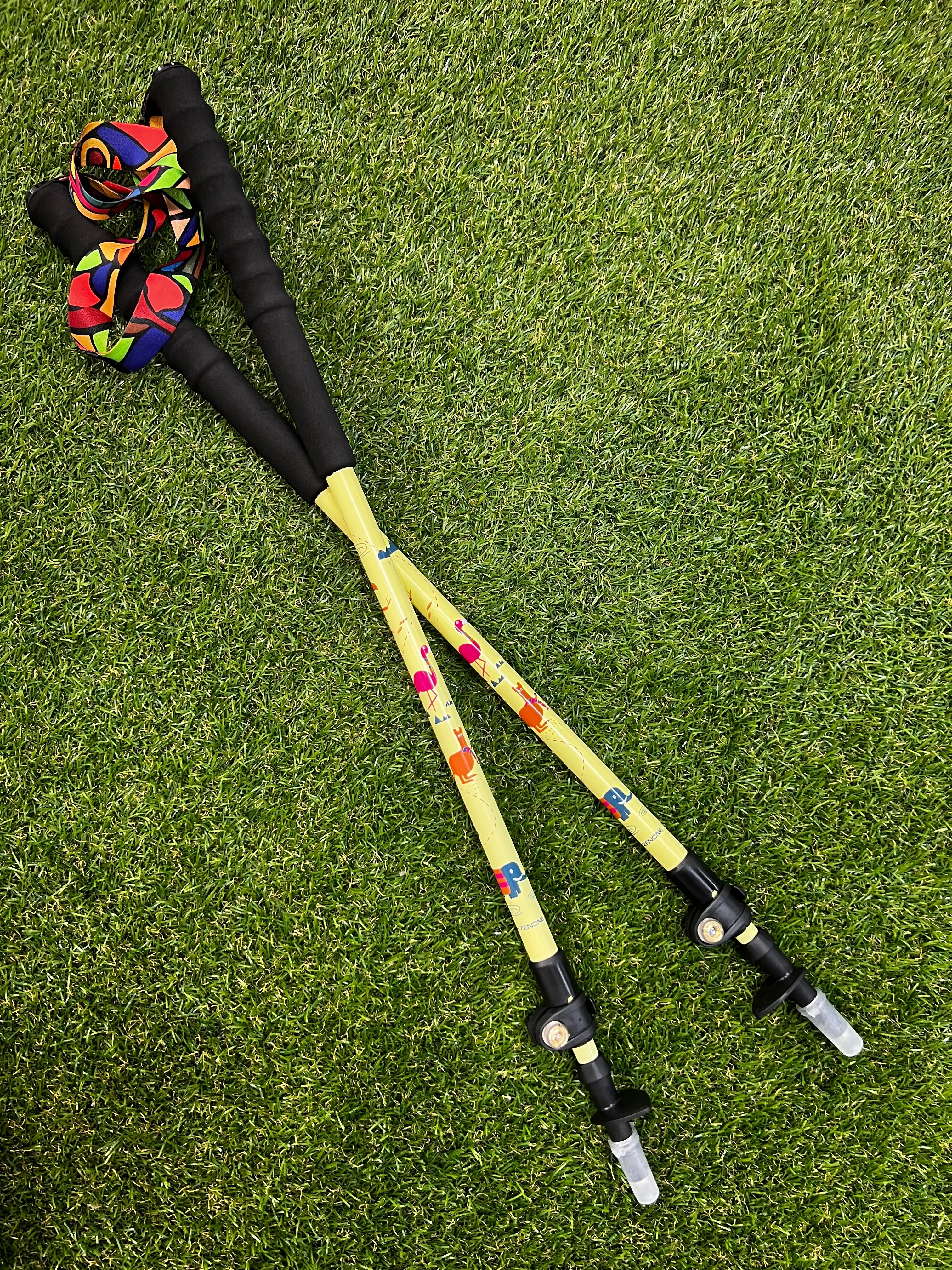 Zenone - Z2002 - Junior Ultralight Trekking Poles
