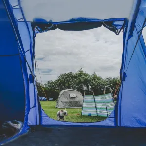 ZonLi Camping Tent for 2 Person and Large Dogs with Snag-Free Poles, One-Button Folding Design, Included Rainfly Blocks Wind & Rain, Storage Pocket(Blue)